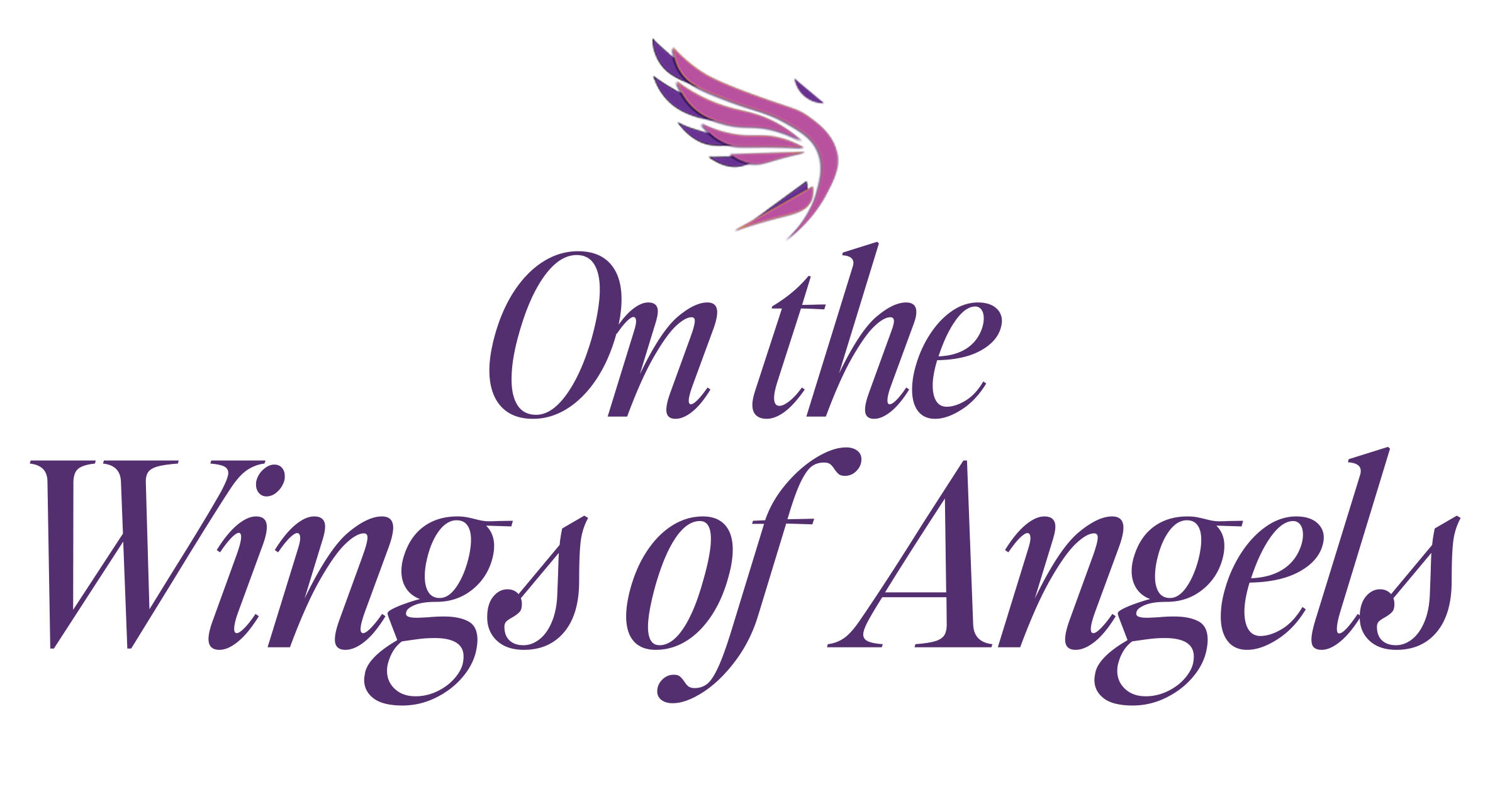 OHGA  オオガ　ohga ANGEL エンジェル ITEM | OHGA